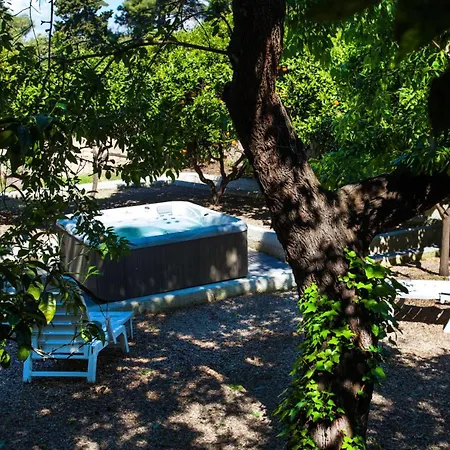 Bed & Breakfast Marta